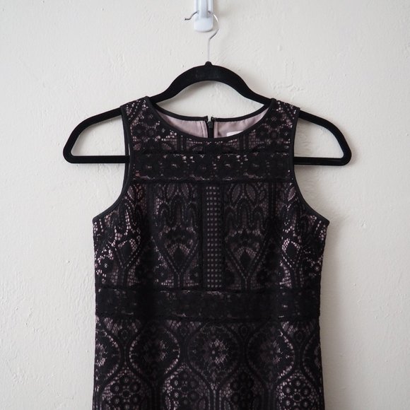 Ann Taylor LOFT Petites Sleeveless Lace Dress - Picture 3 of 5